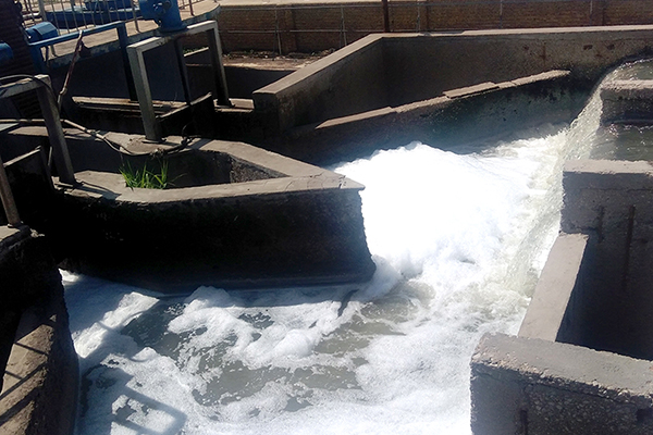 �ɹ�����