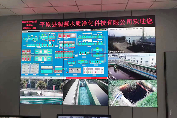 �ɹ�����